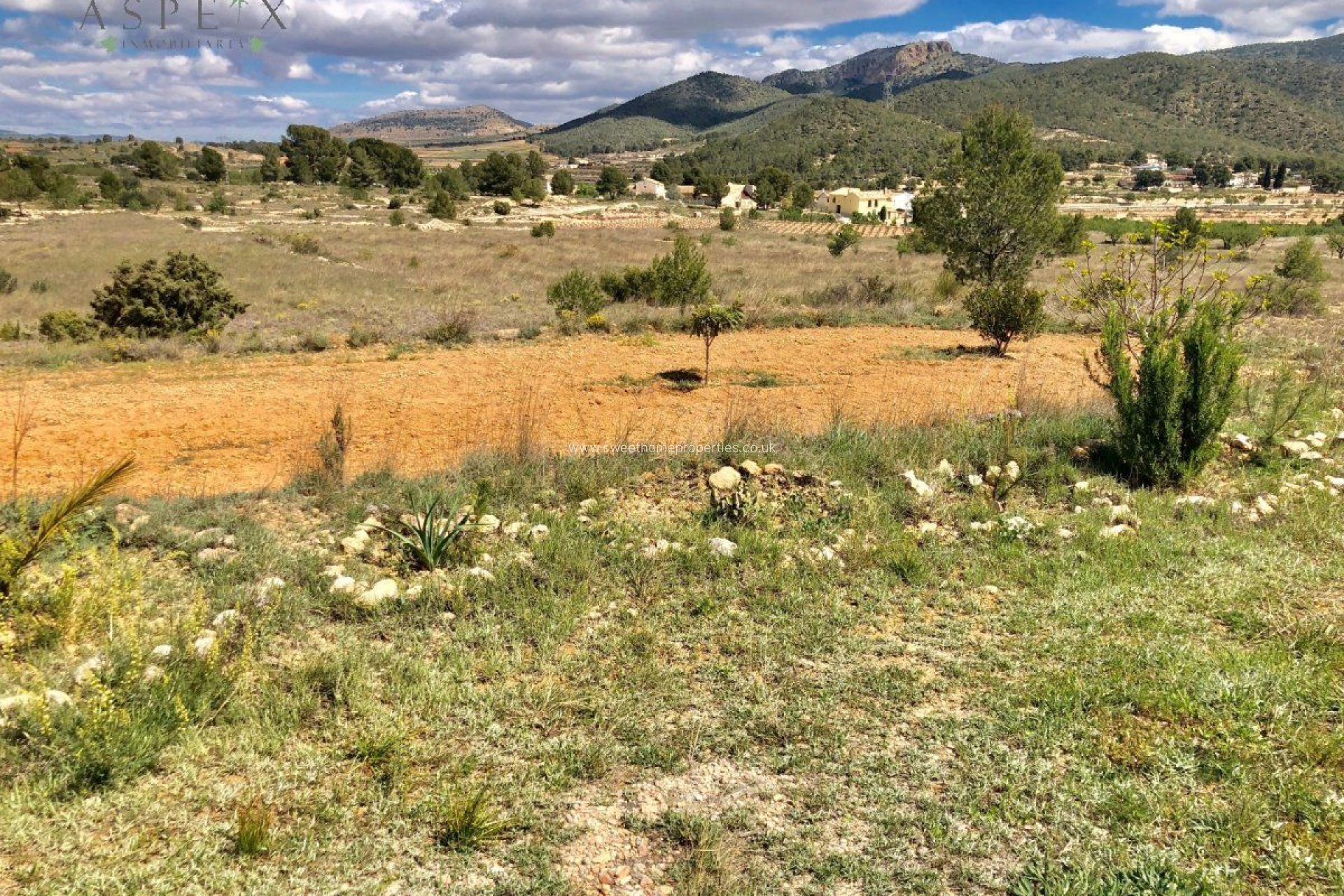 Resale - Plot - Monovar - LA ROMANETA