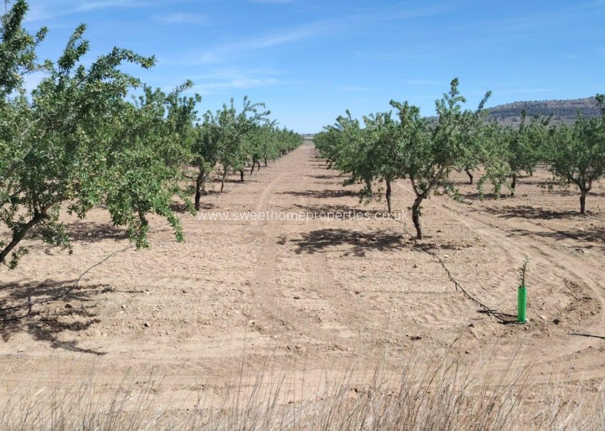 Resale - Plot - Monovar - MADARA