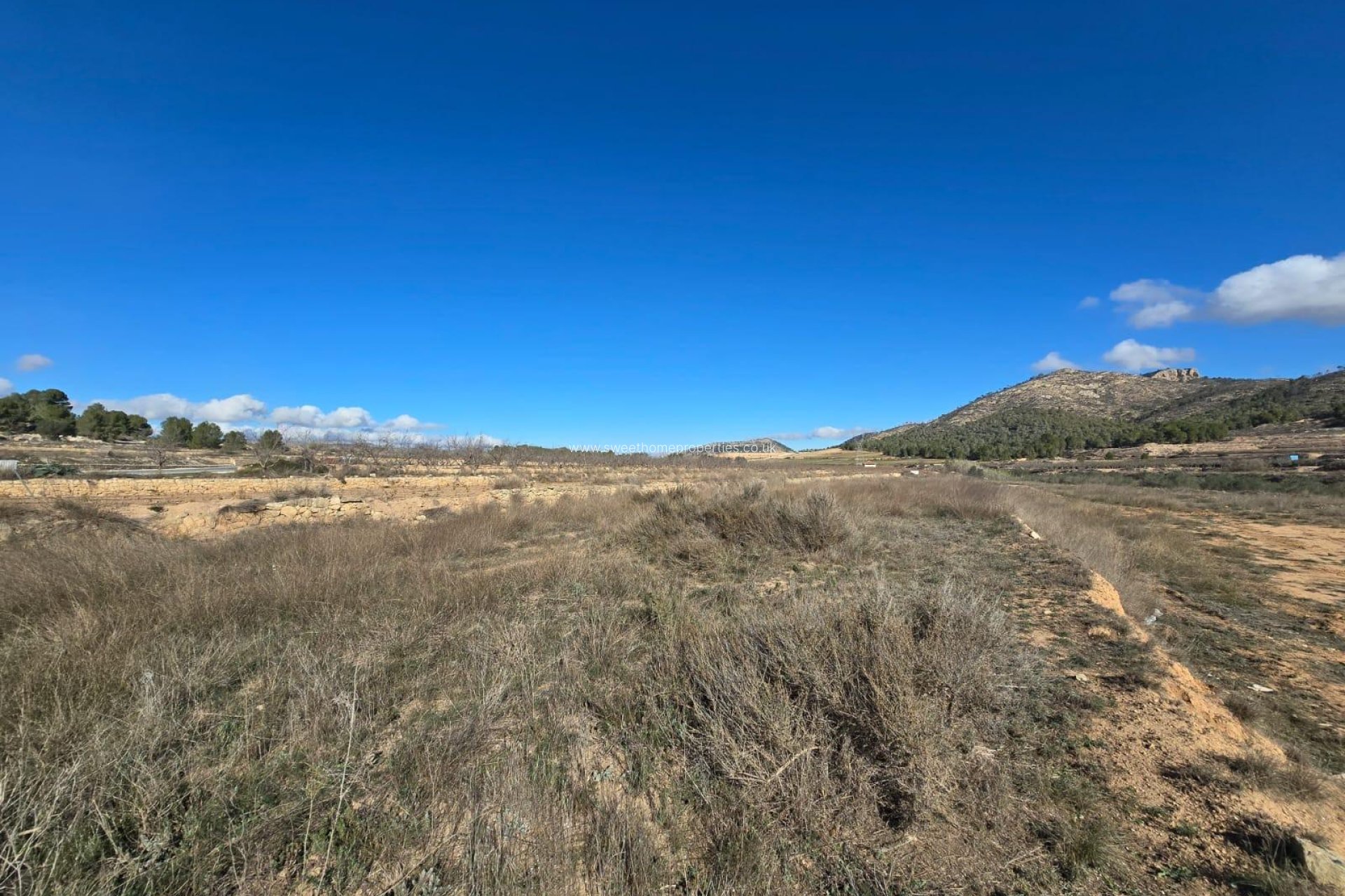 Resale - Plot - Monovar - Monover - LA ROMANETA