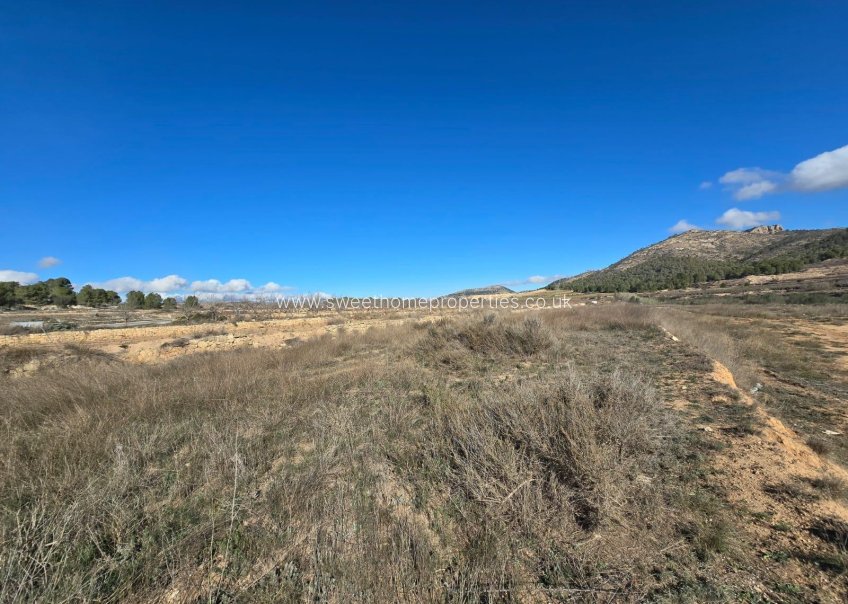 Resale - Plot - Monovar - Monover - LA ROMANETA