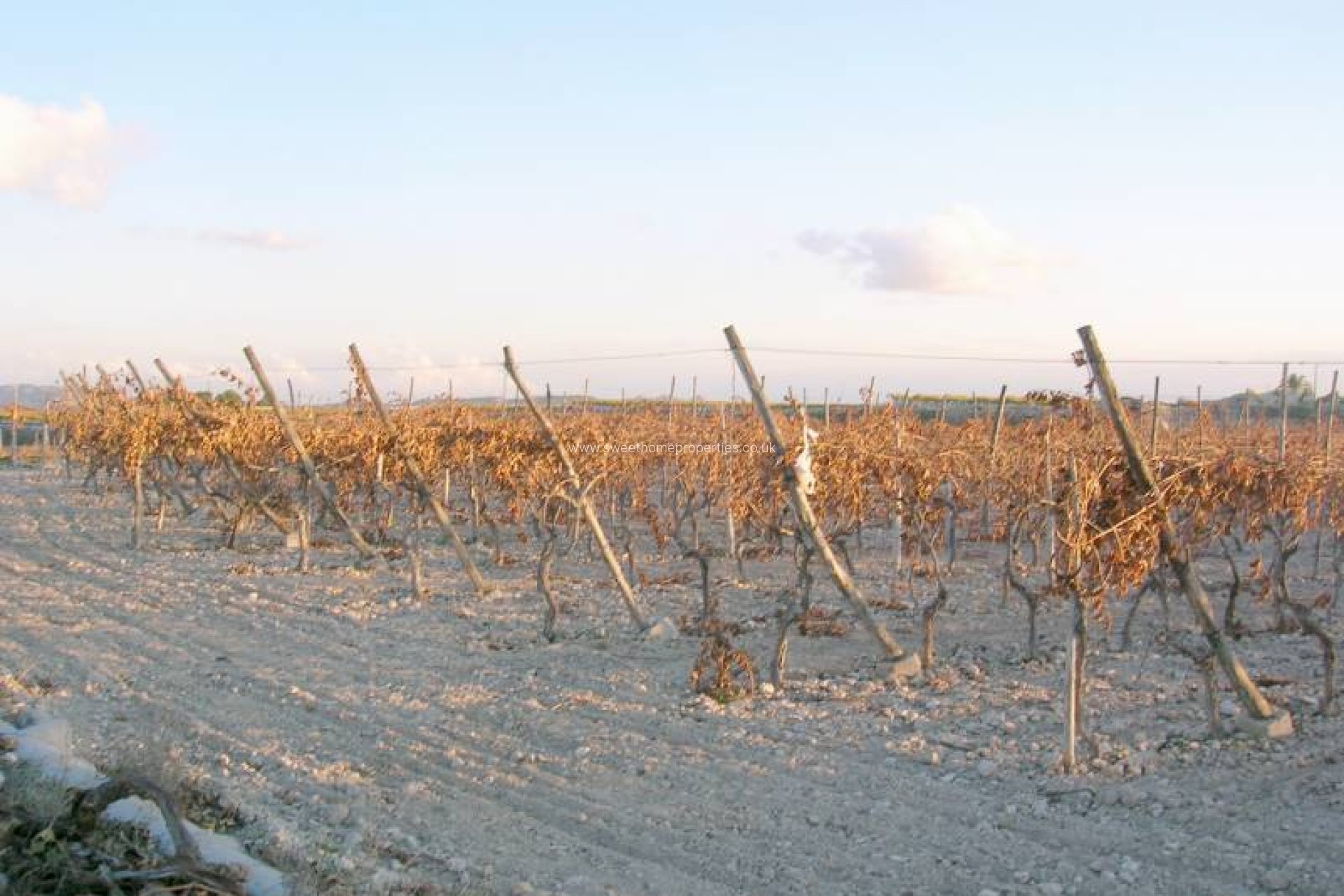 Resale - Plot - Novelda - BETIES