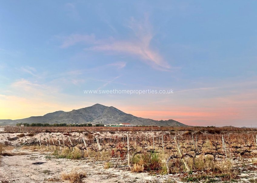 Resale - Plot - Novelda - BETIES