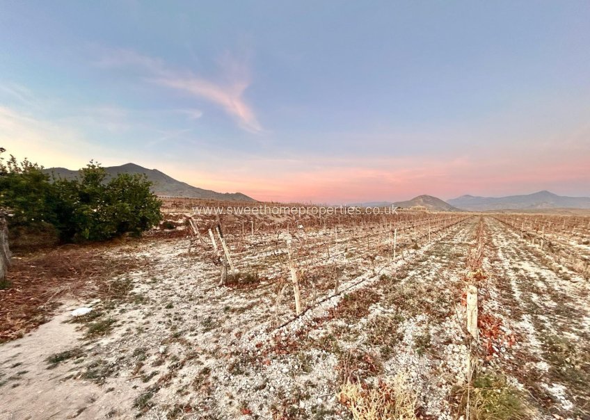 Resale - Plot - Novelda - BETIES