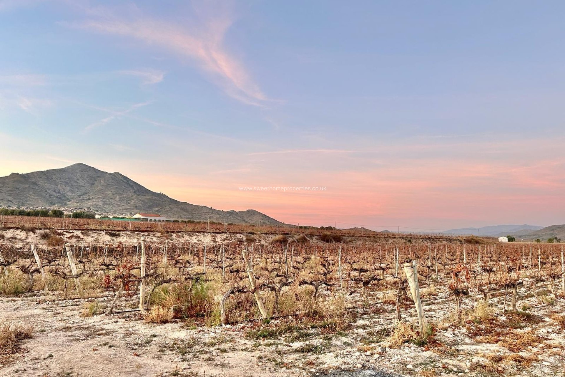 Resale - Plot - Novelda - BETIES