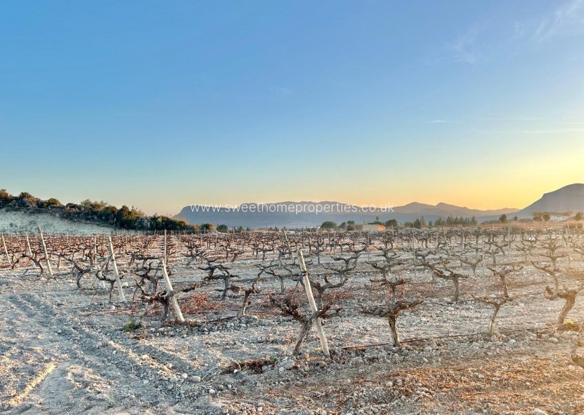 Resale - Plot - Novelda - BETIES