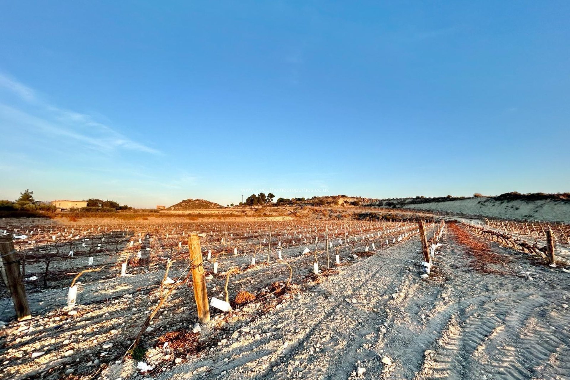 Resale - Plot - Novelda - BETIES