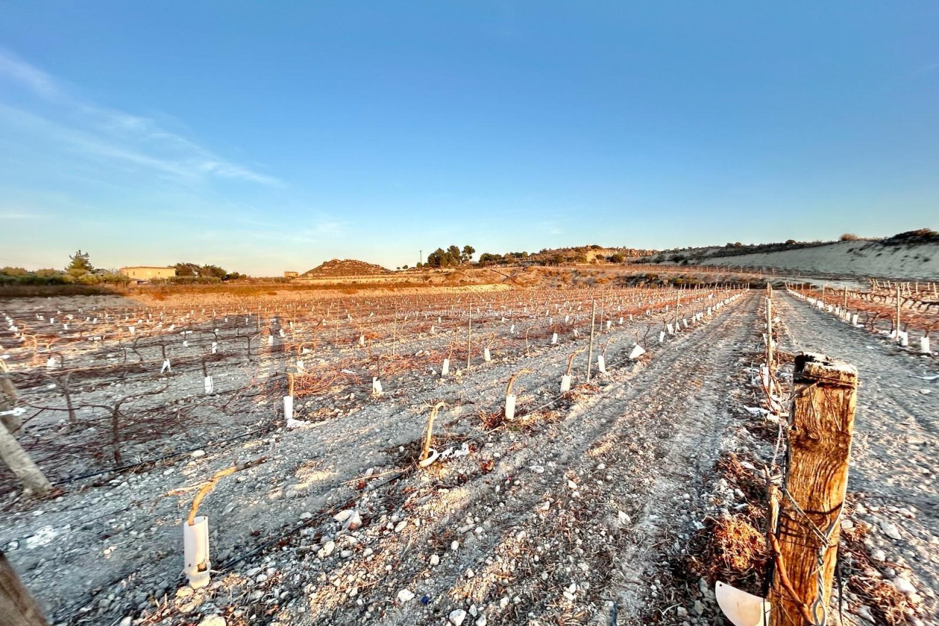 Resale - Plot - Novelda - BETIES