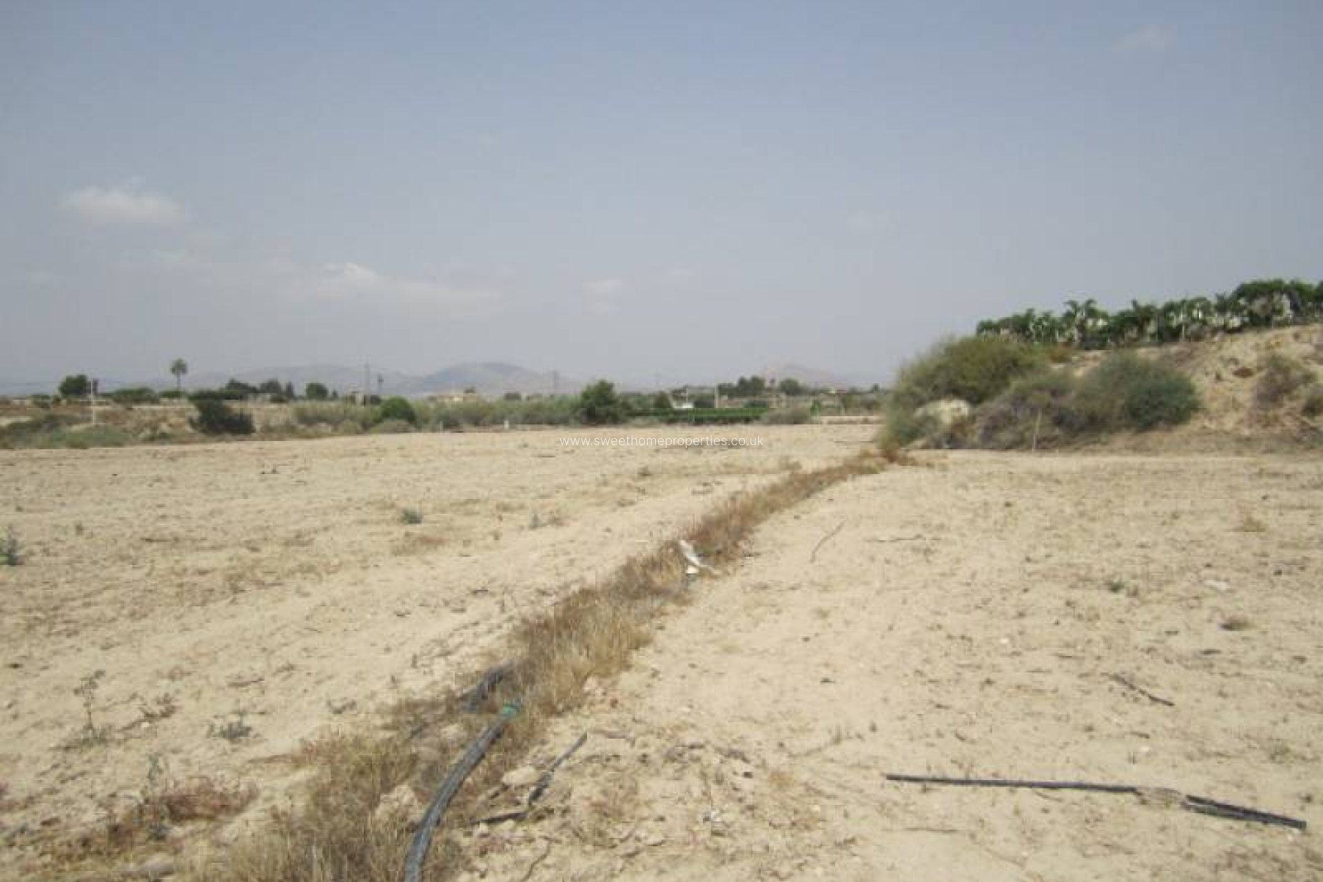 Resale - Plot - Novelda - CAMPET