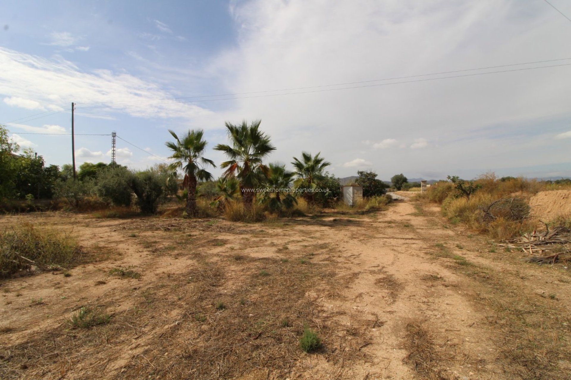 Resale - Plot - Novelda - CAMPET