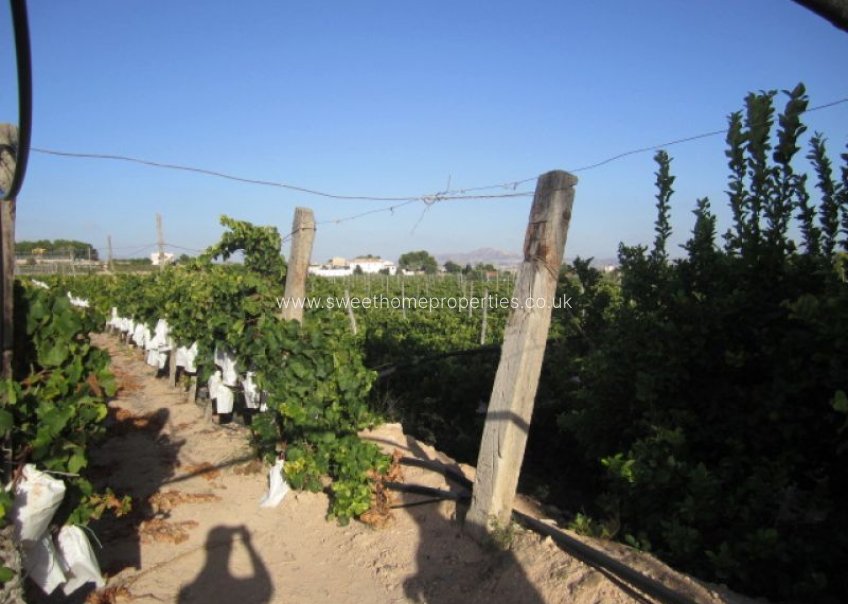 Resale - Plot - Novelda - CASAS DE SALA