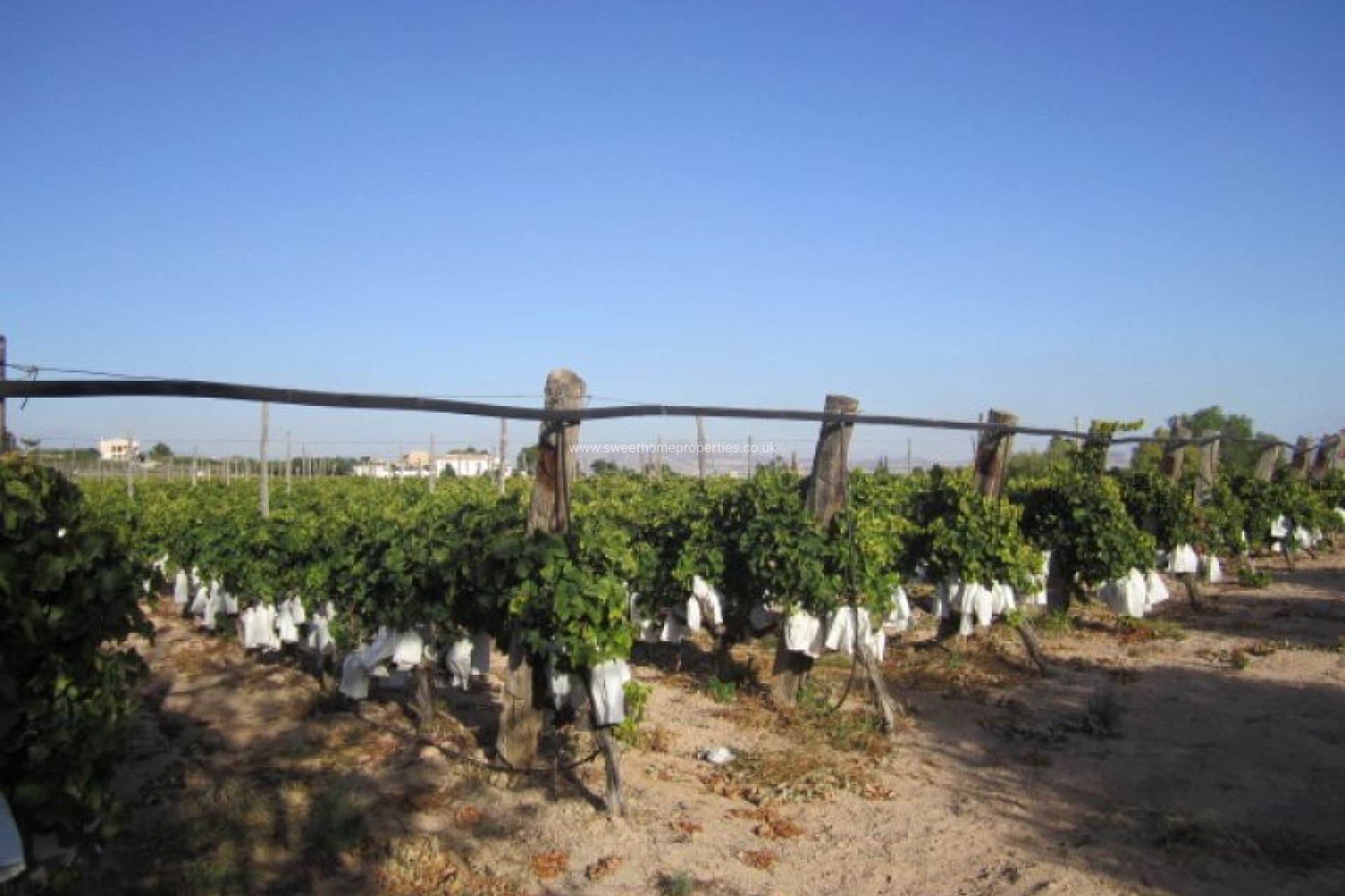 Resale - Plot - Novelda - CASAS DE SALA