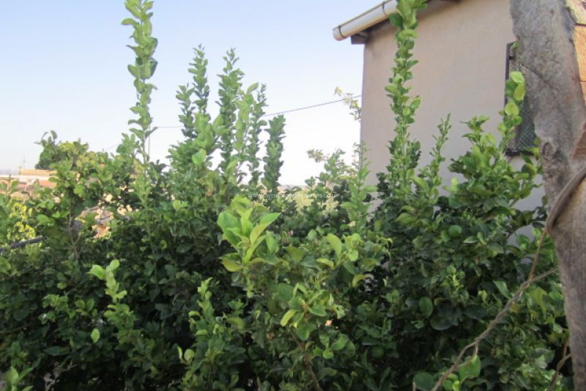 Resale - Plot - Novelda - CASAS DE SALA