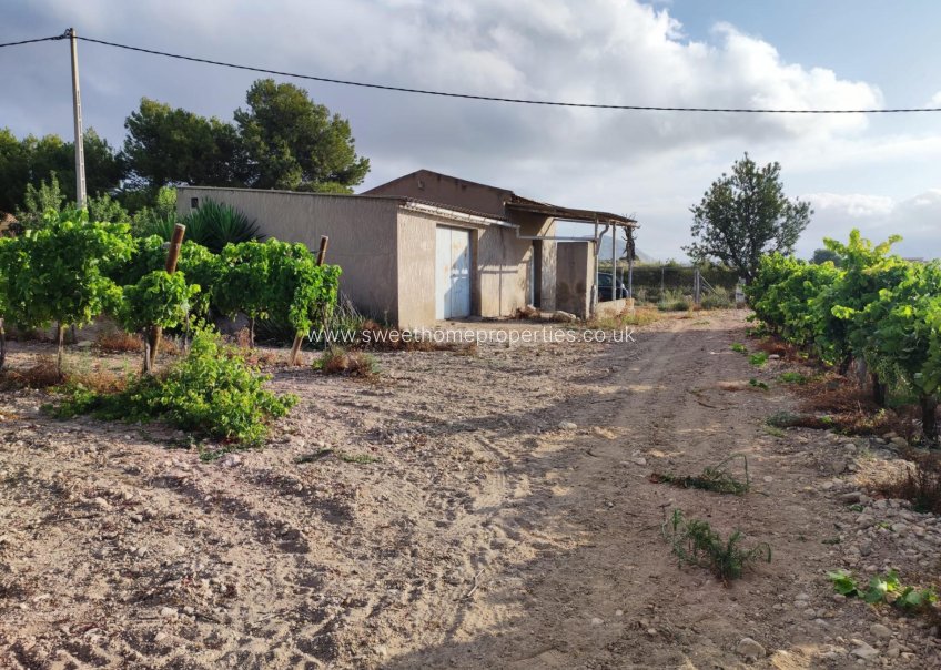 Resale - Plot - Novelda - CENTRO