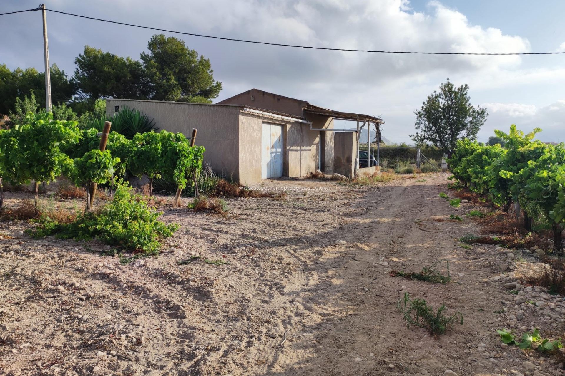 Resale - Plot - Novelda - CENTRO