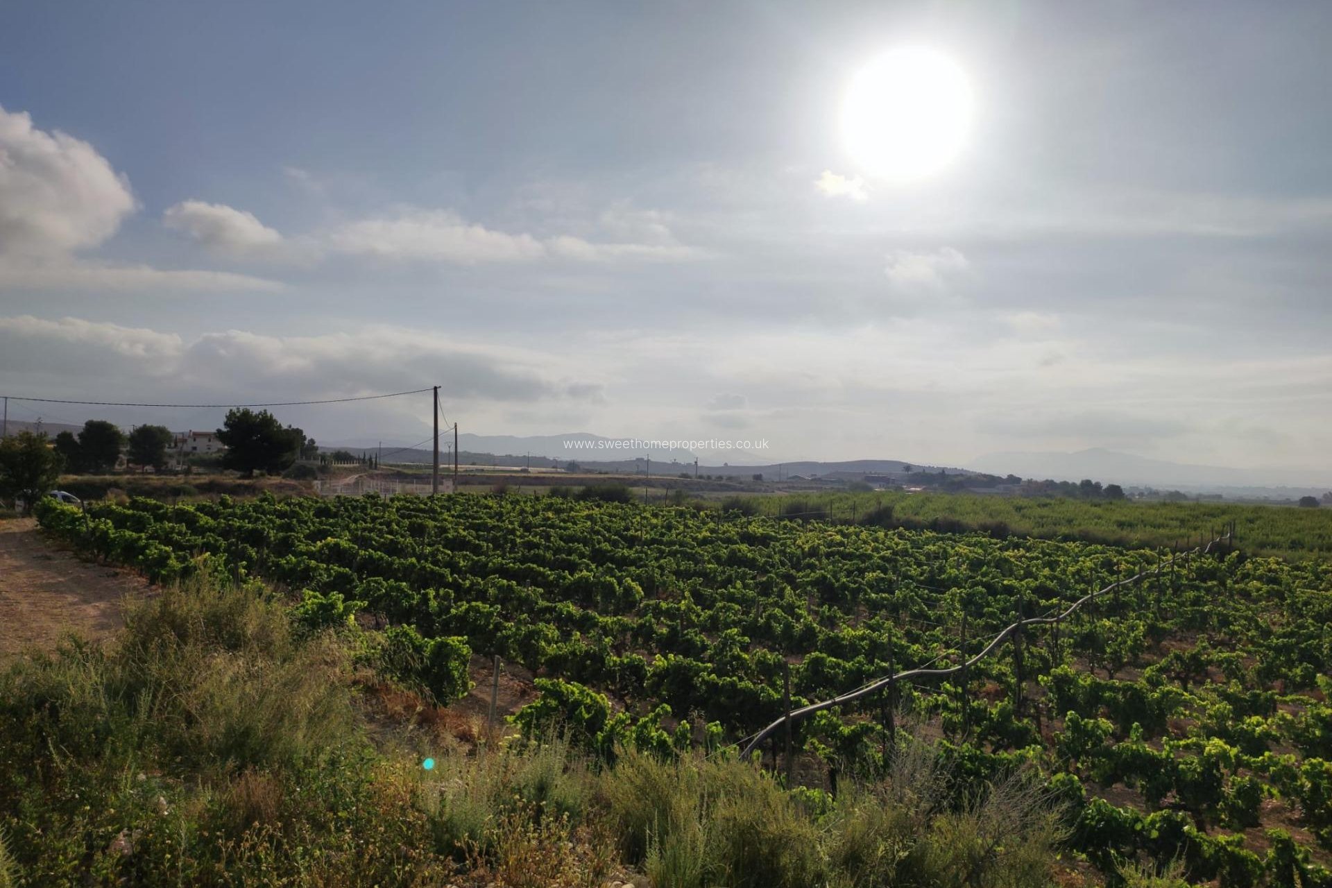 Resale - Plot - Novelda - CENTRO