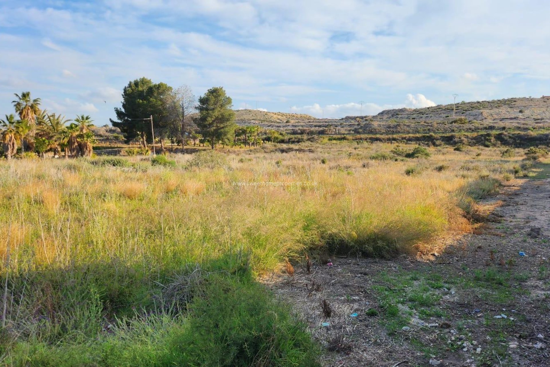 Resale - Plot - Novelda - Comunidad valenciana