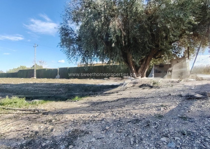 Resale - Plot - Novelda - Comunidad valenciana