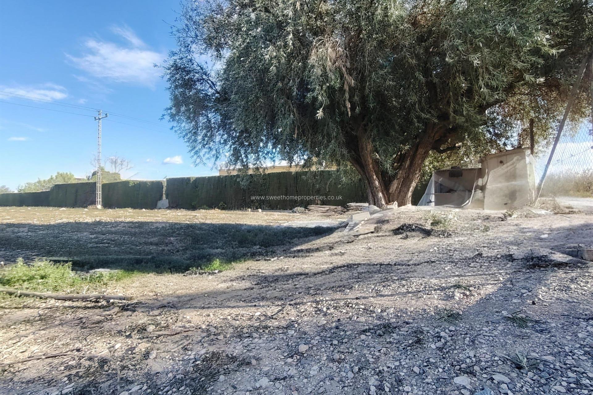 Resale - Plot - Novelda - Comunidad valenciana