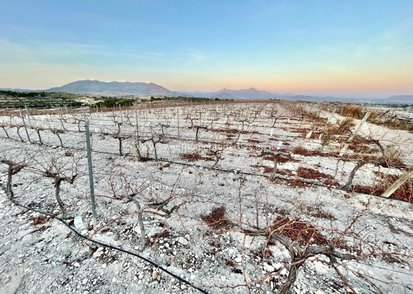 Resale - Plot - Novelda - HORNA BAJA