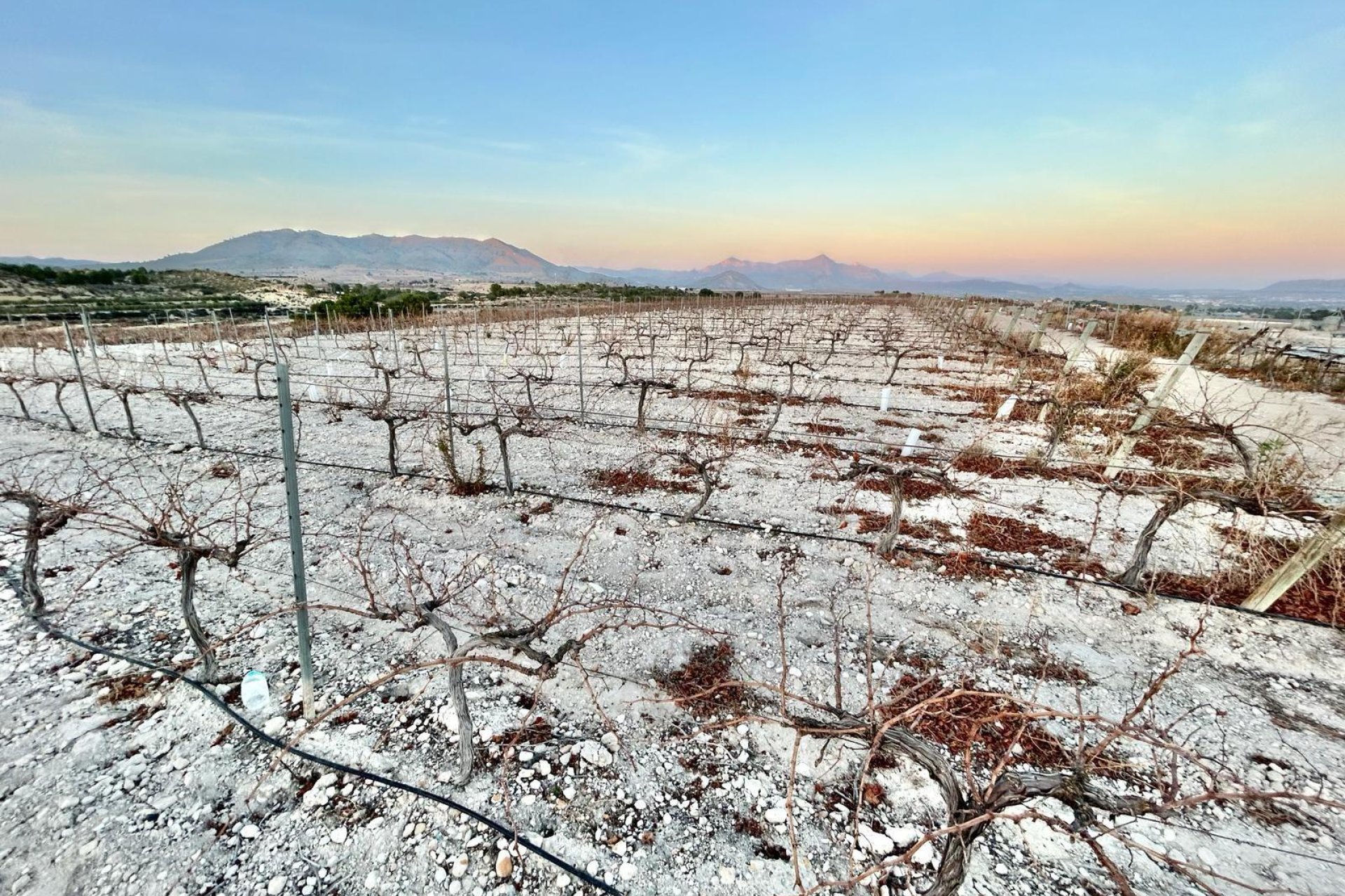 Resale - Plot - Novelda - HORNA BAJA