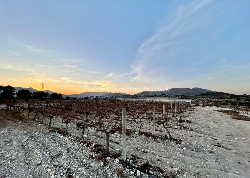 Resale - Plot - Novelda - HORNA BAJA