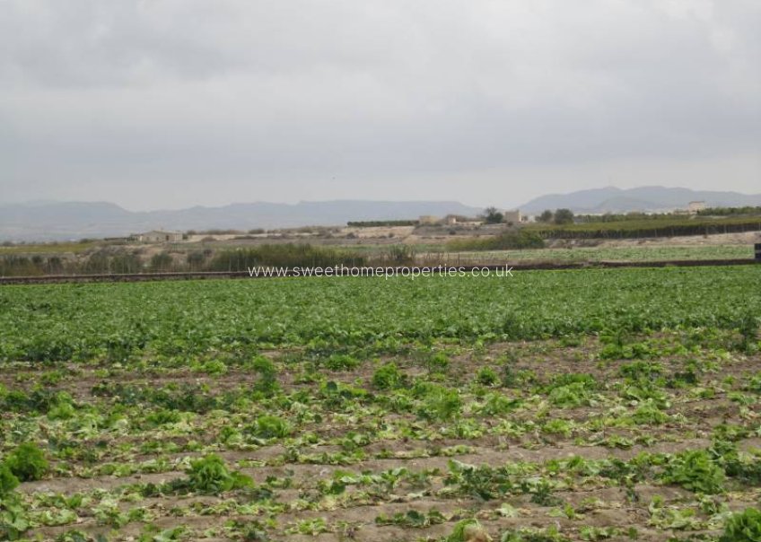 Resale - Plot - Novelda - HORNA