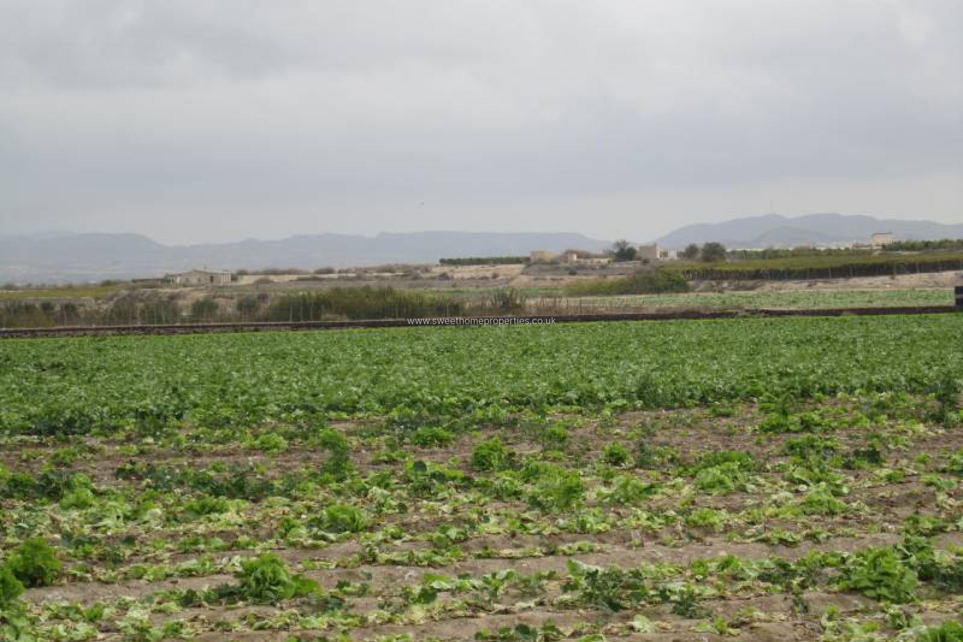 Resale - Plot - Novelda - HORNA