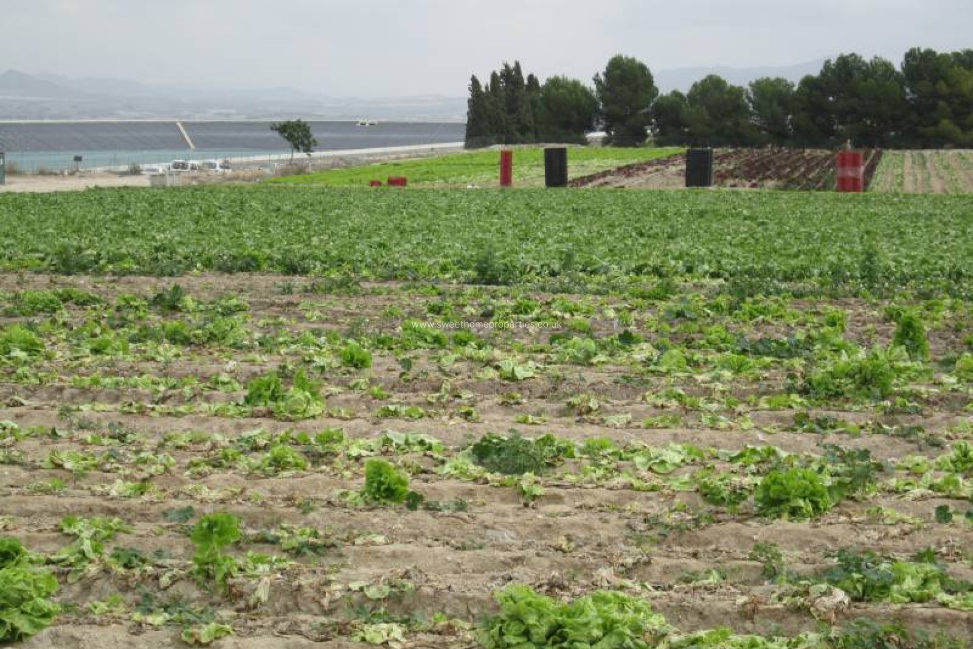 Resale - Plot - Novelda - HORNA