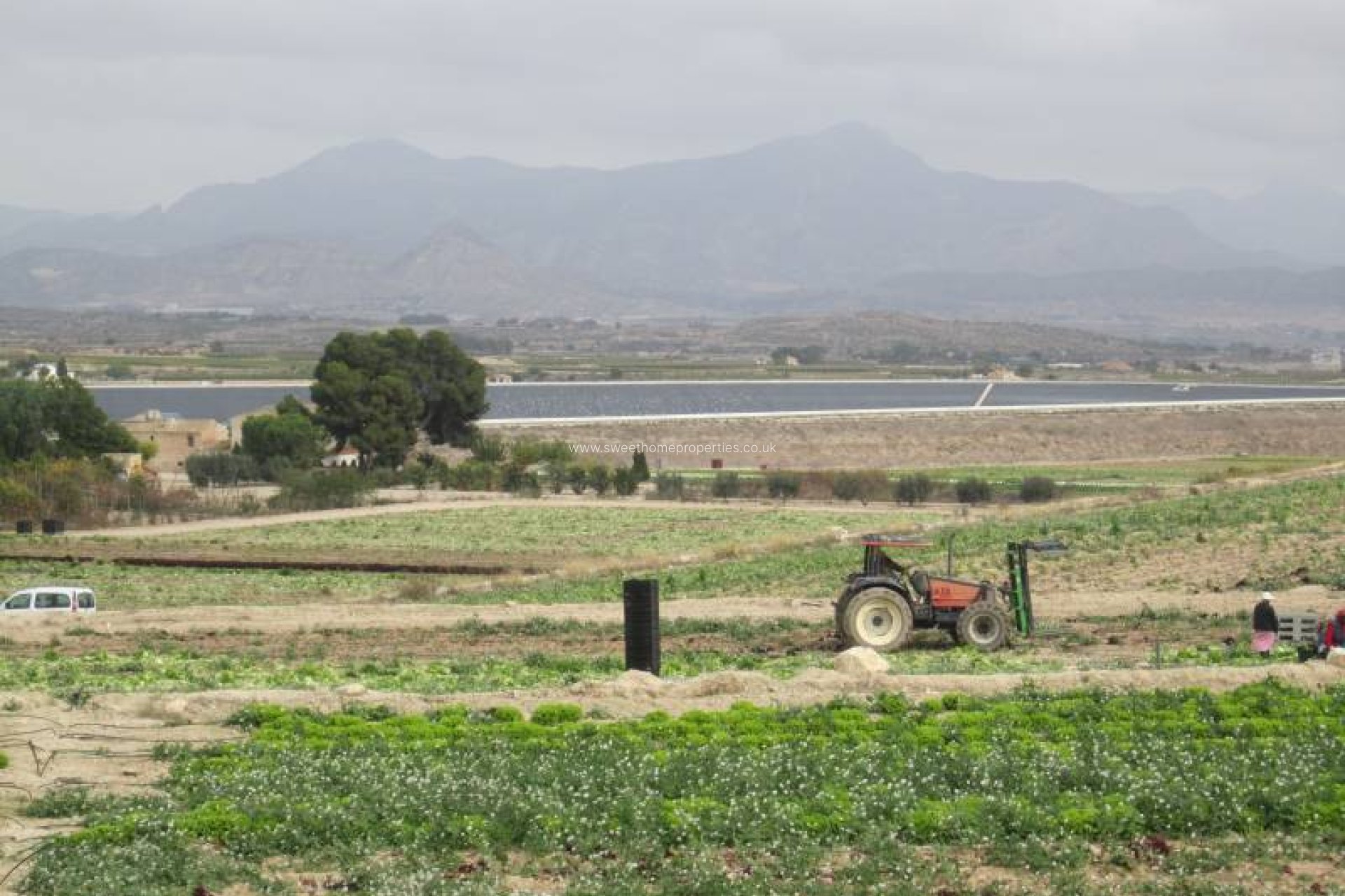 Resale - Plot - Novelda - HORNA