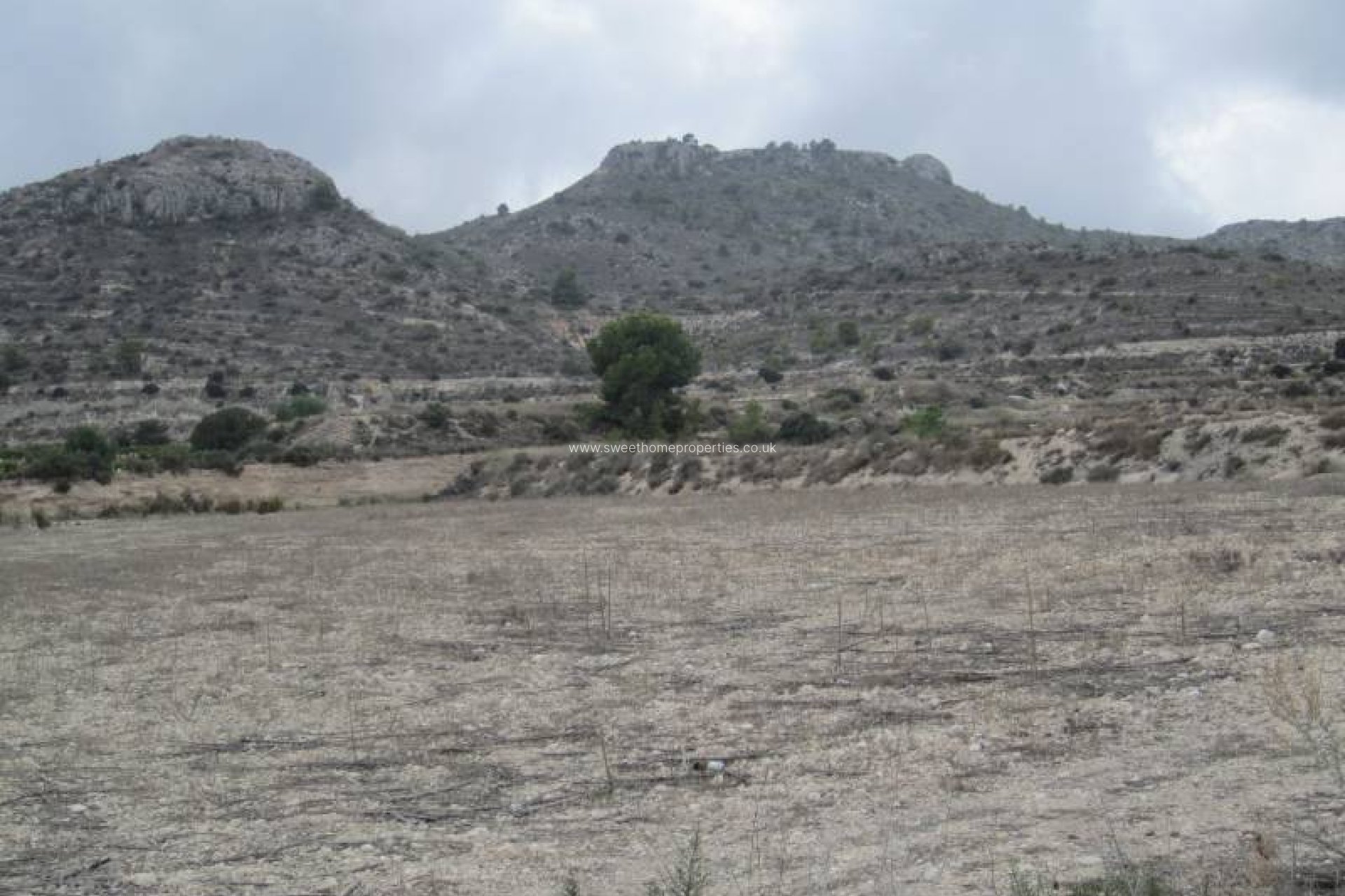 Resale - Plot - Novelda - HORNA