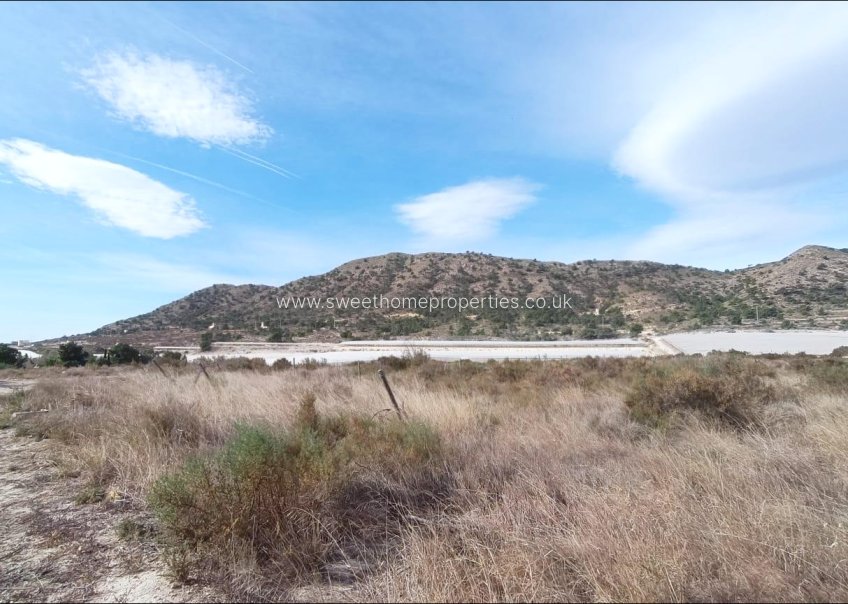 Resale - Plot - Novelda - SERRETA