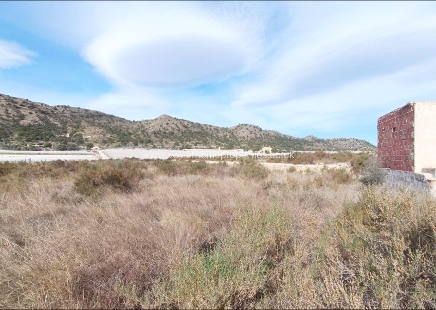 Resale - Plot - Novelda - SERRETA