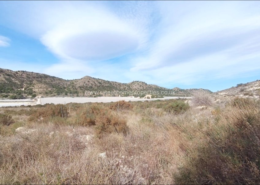 Resale - Plot - Novelda - SERRETA