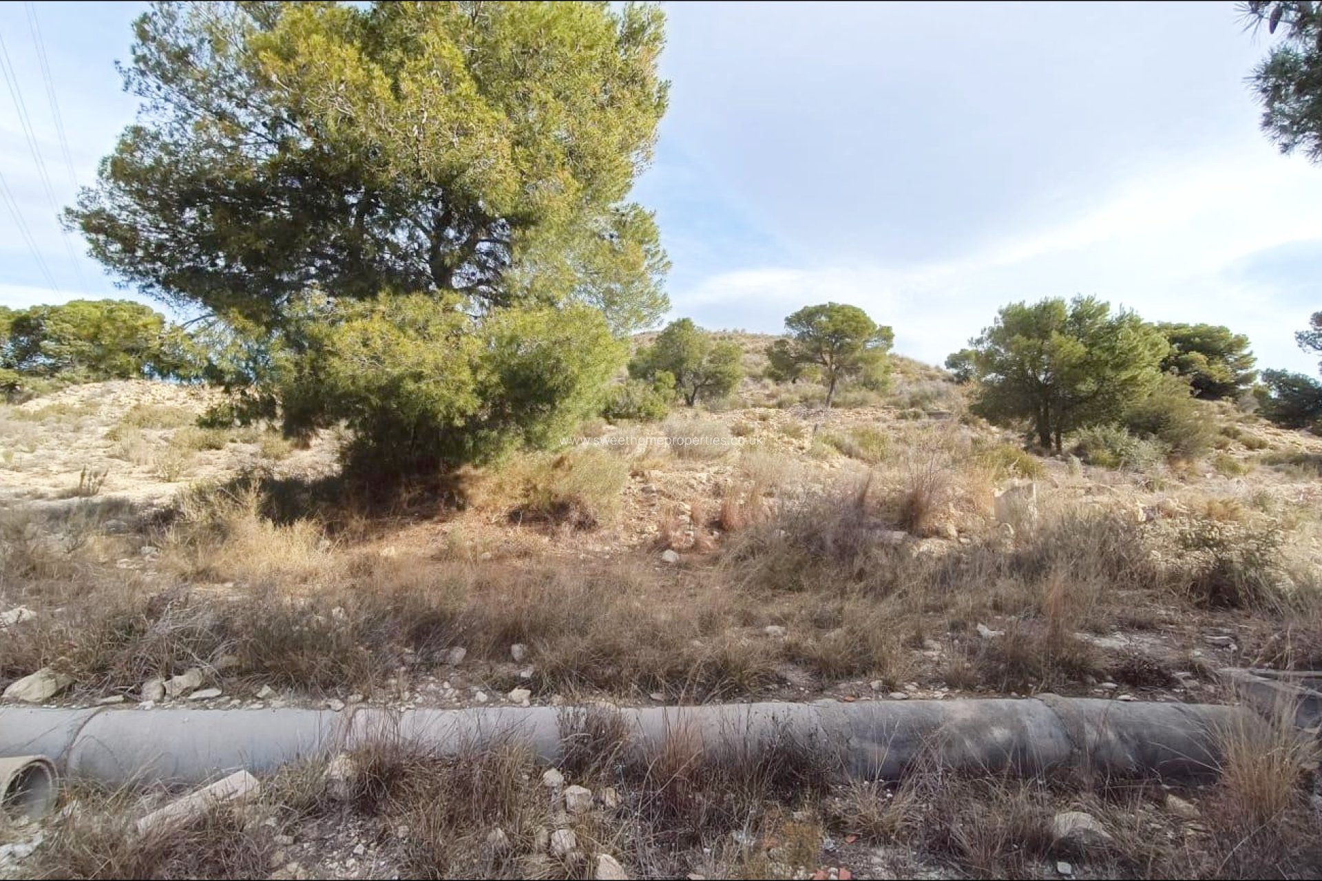 Resale - Plot - Novelda - SERRETA