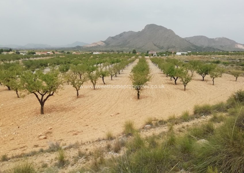 Resale - Plot - Orihuela - Barbarroja