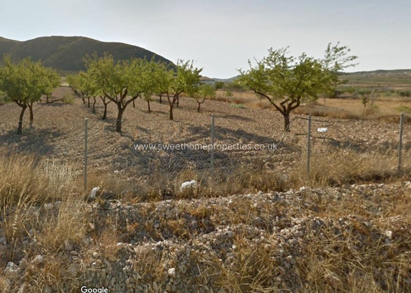 Resale - Plot - Orihuela - Barbarroja