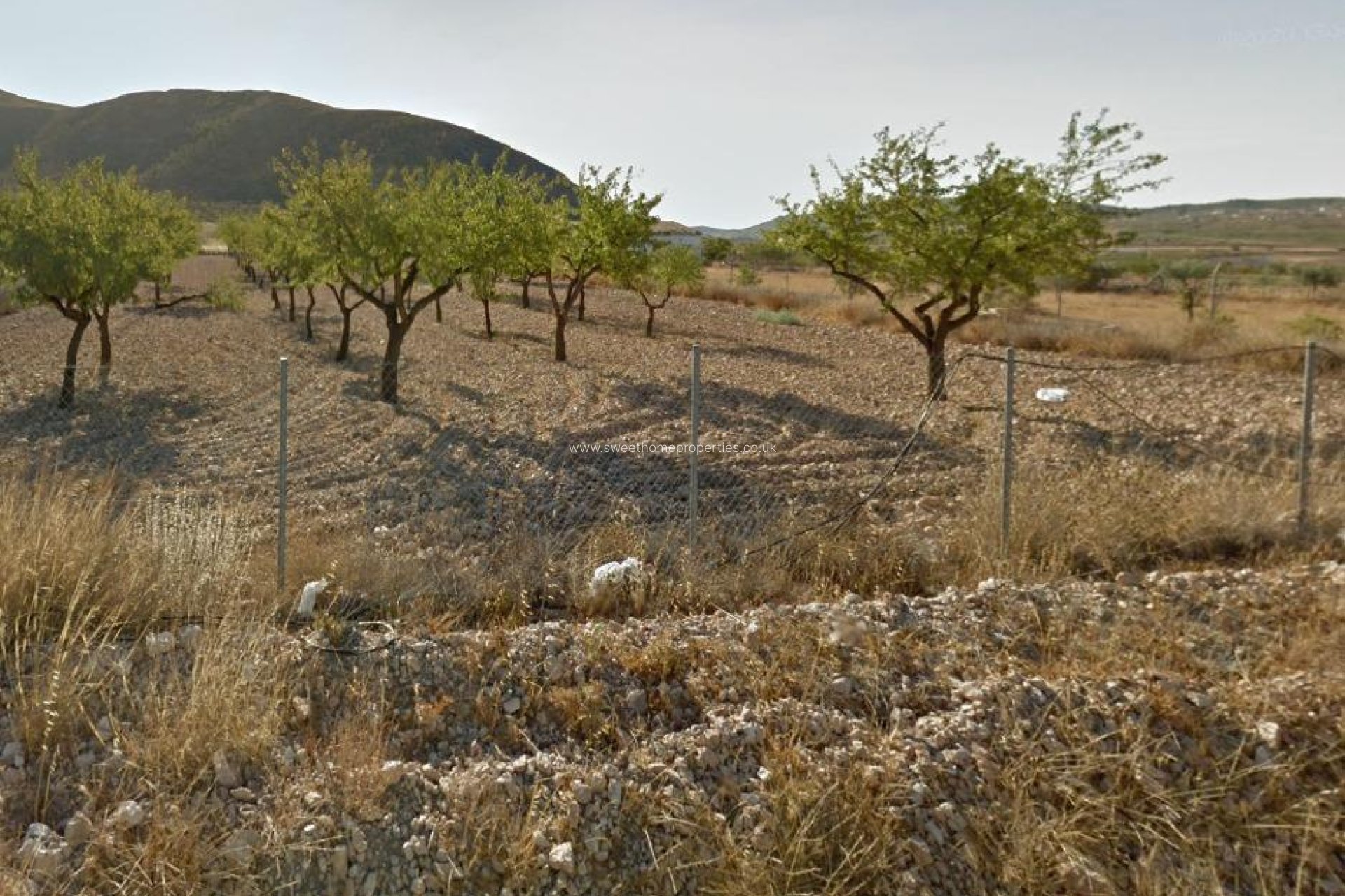 Resale - Plot - Orihuela - Barbarroja