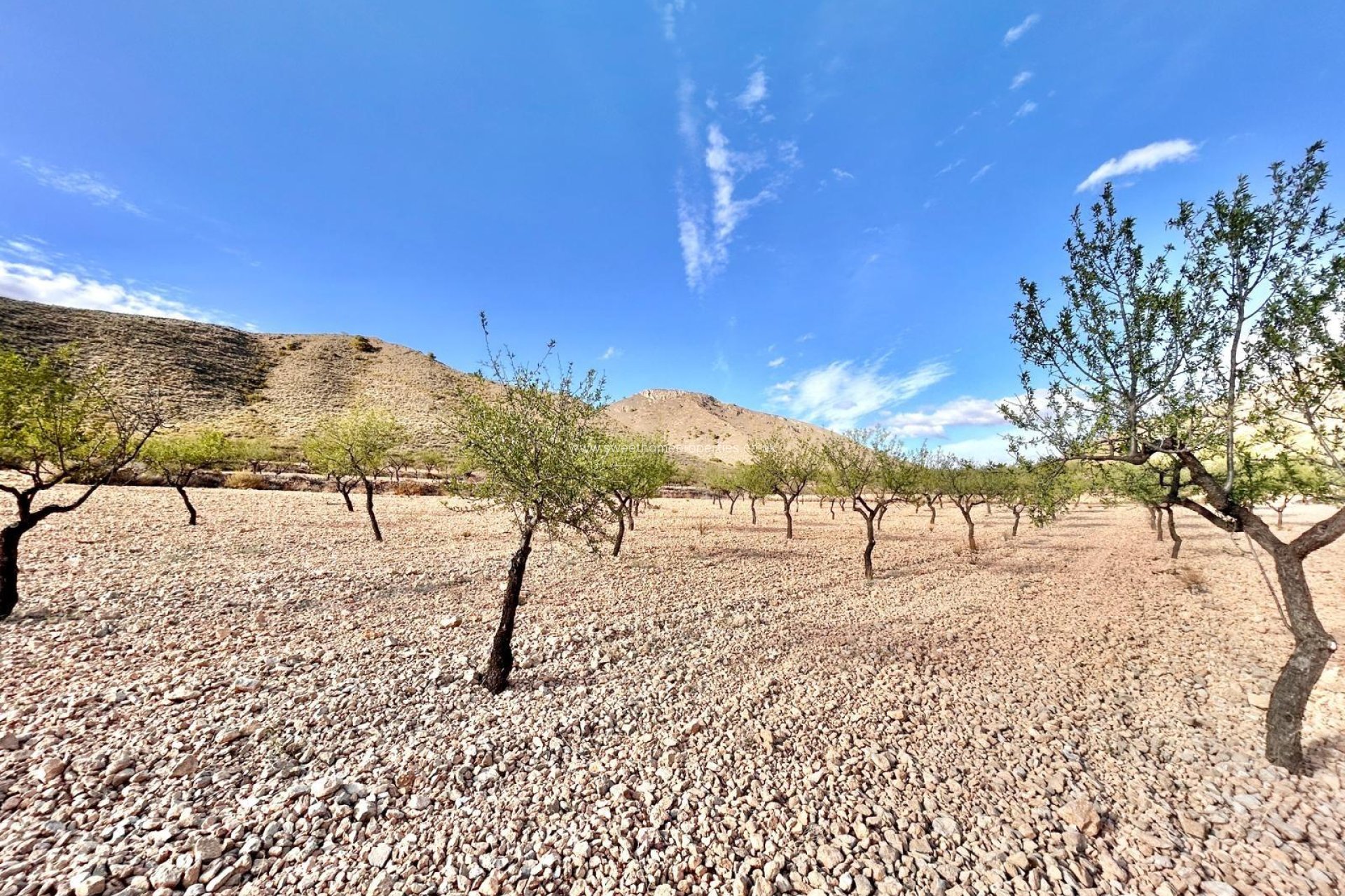 Resale - Plot - Orihuela - Barbarroja