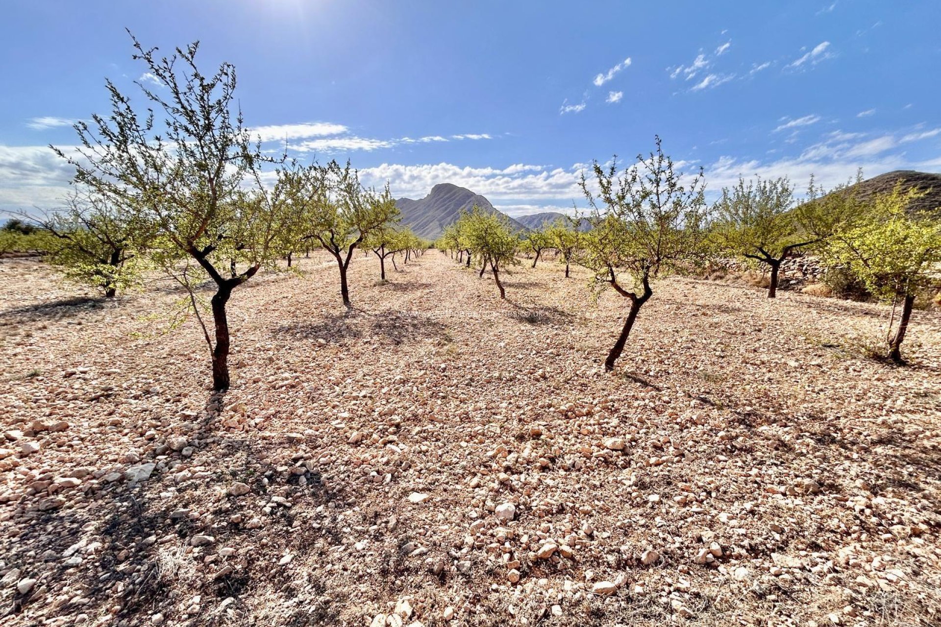 Resale - Plot - Orihuela - Barbarroja