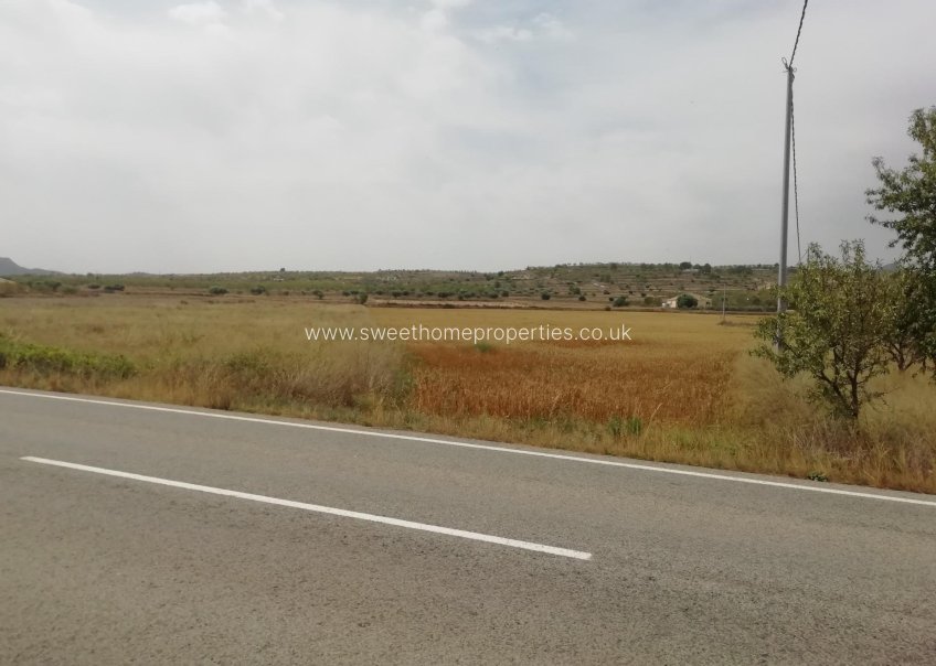Resale - Plot - Orihuela - Hondon De Los Frailes
