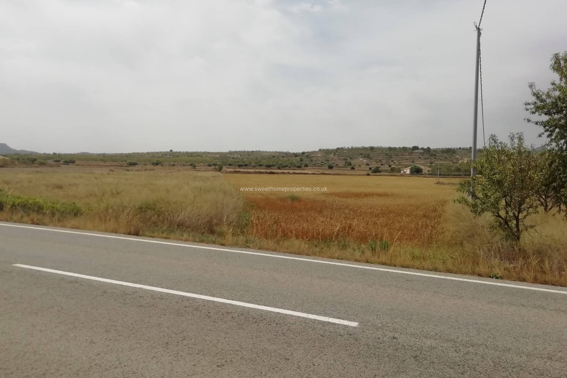 Resale - Plot - Orihuela - Hondon De Los Frailes