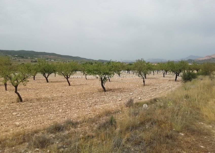 Resale - Plot - Orihuela - Hondon De Los Frailes