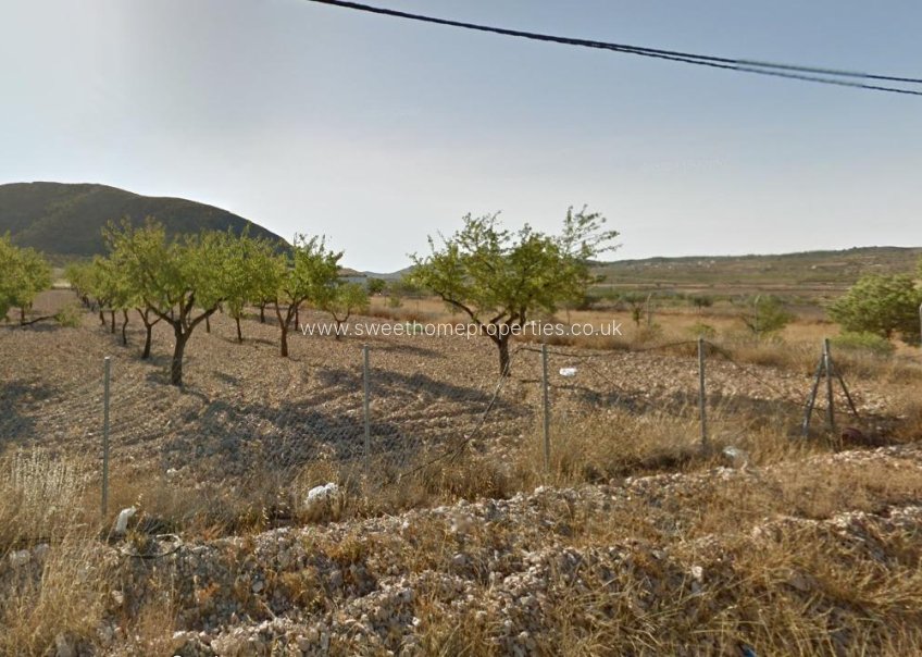 Resale - Plot - Orihuela - Hondon De Los Frailes