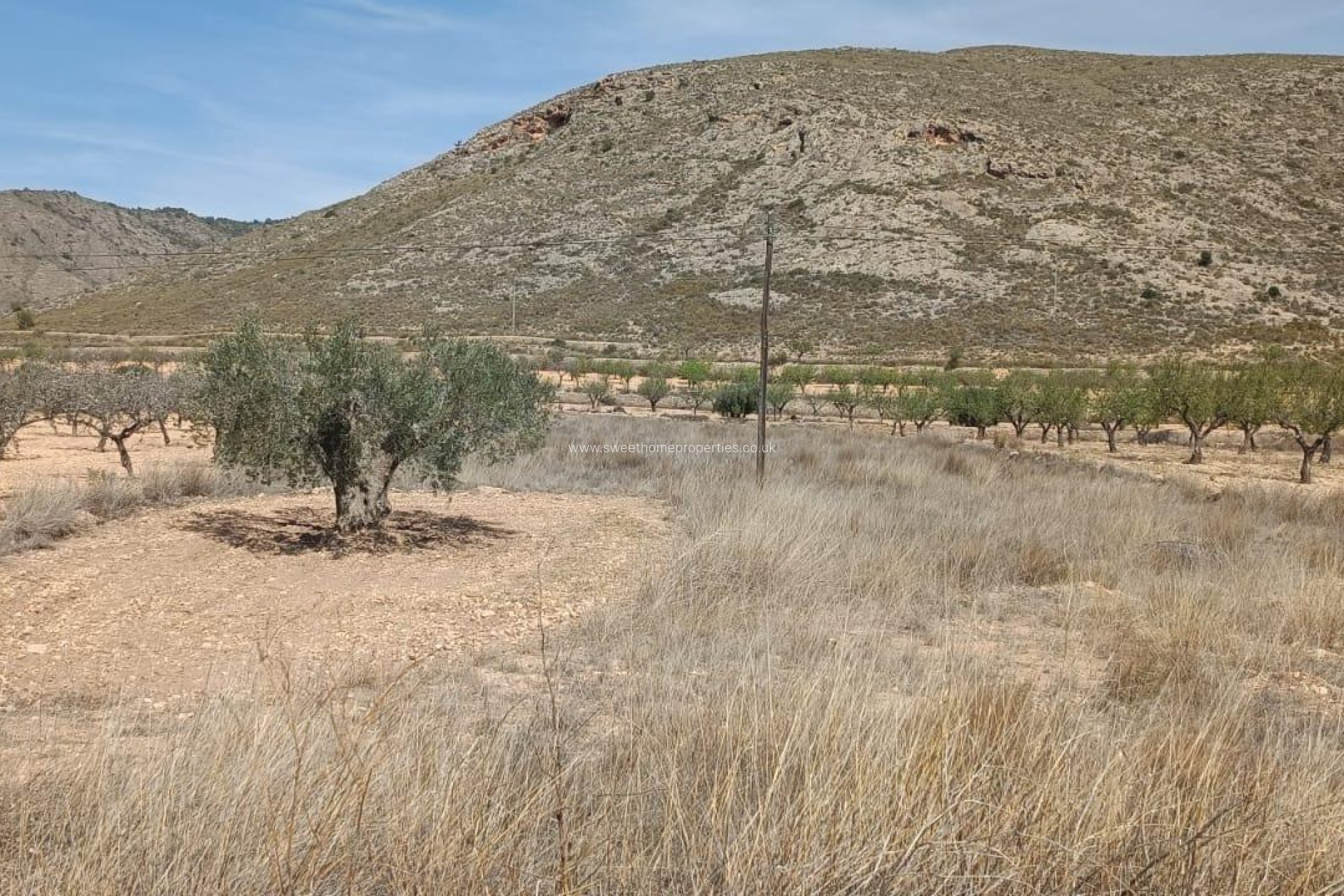 Resale - Plot - Orihuela - Hondon De Los Frailes