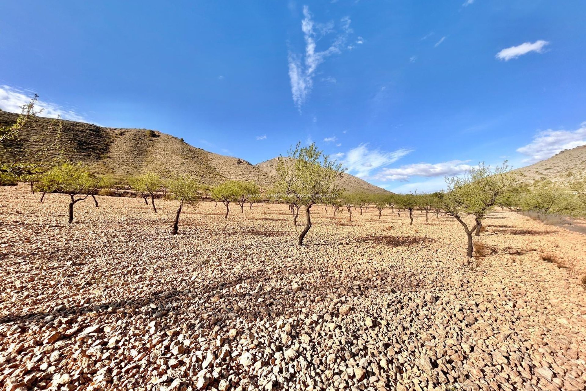 Resale - Plot - Orihuela - Hondon De Los Frailes