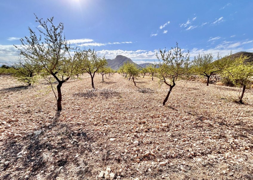 Resale - Plot - Orihuela - Hondon De Los Frailes