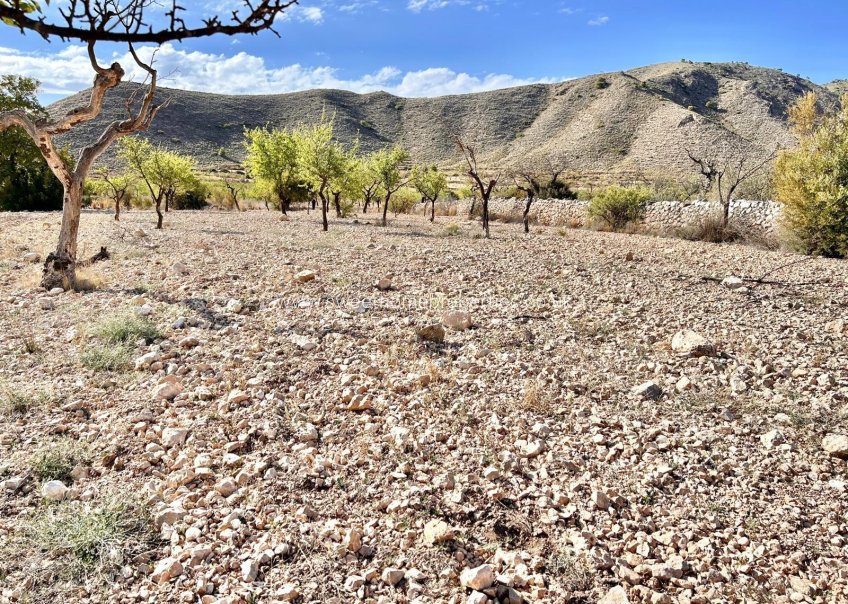 Resale - Plot - Orihuela - Hondon De Los Frailes