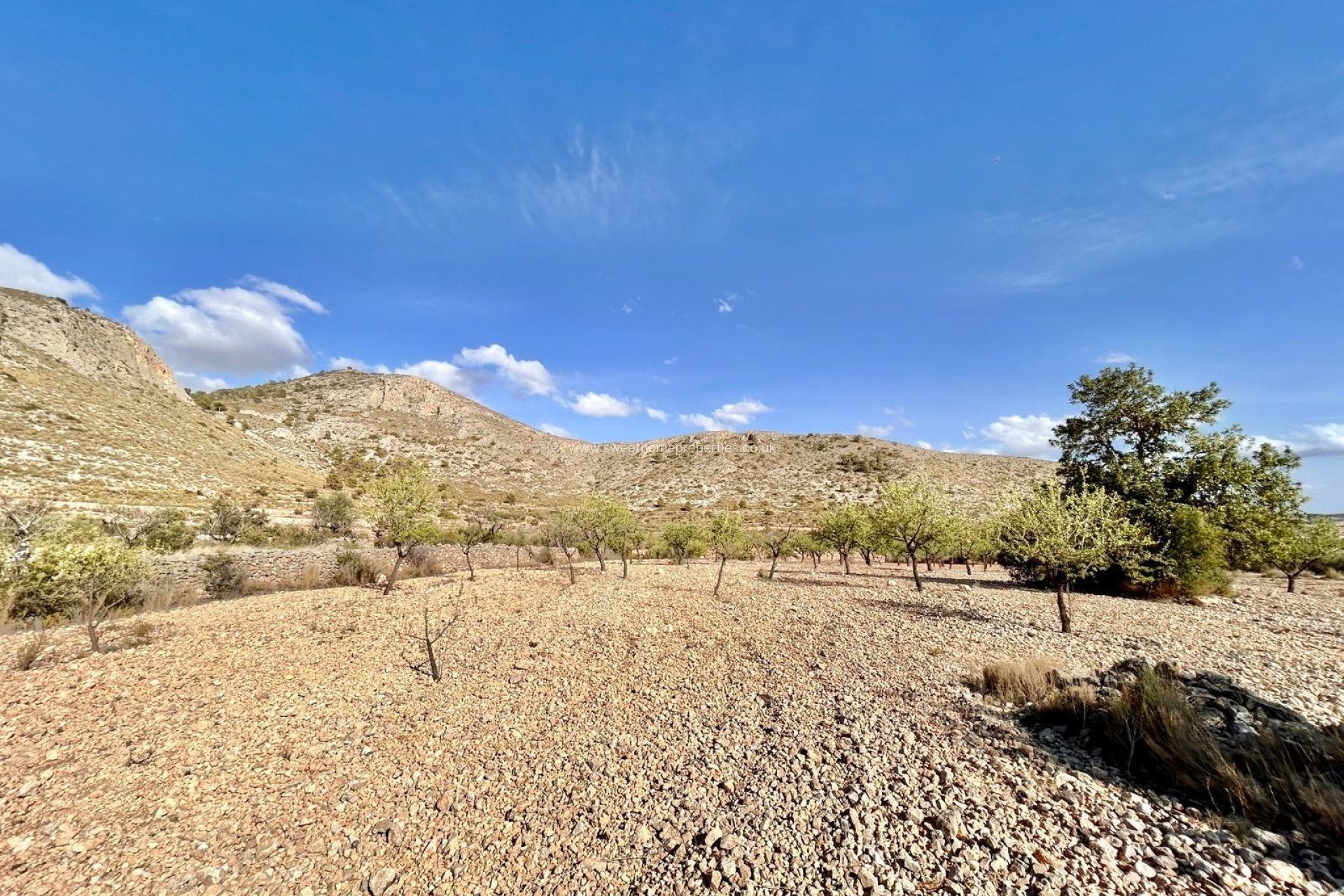 Resale - Plot - Orihuela - Hondon De Los Frailes