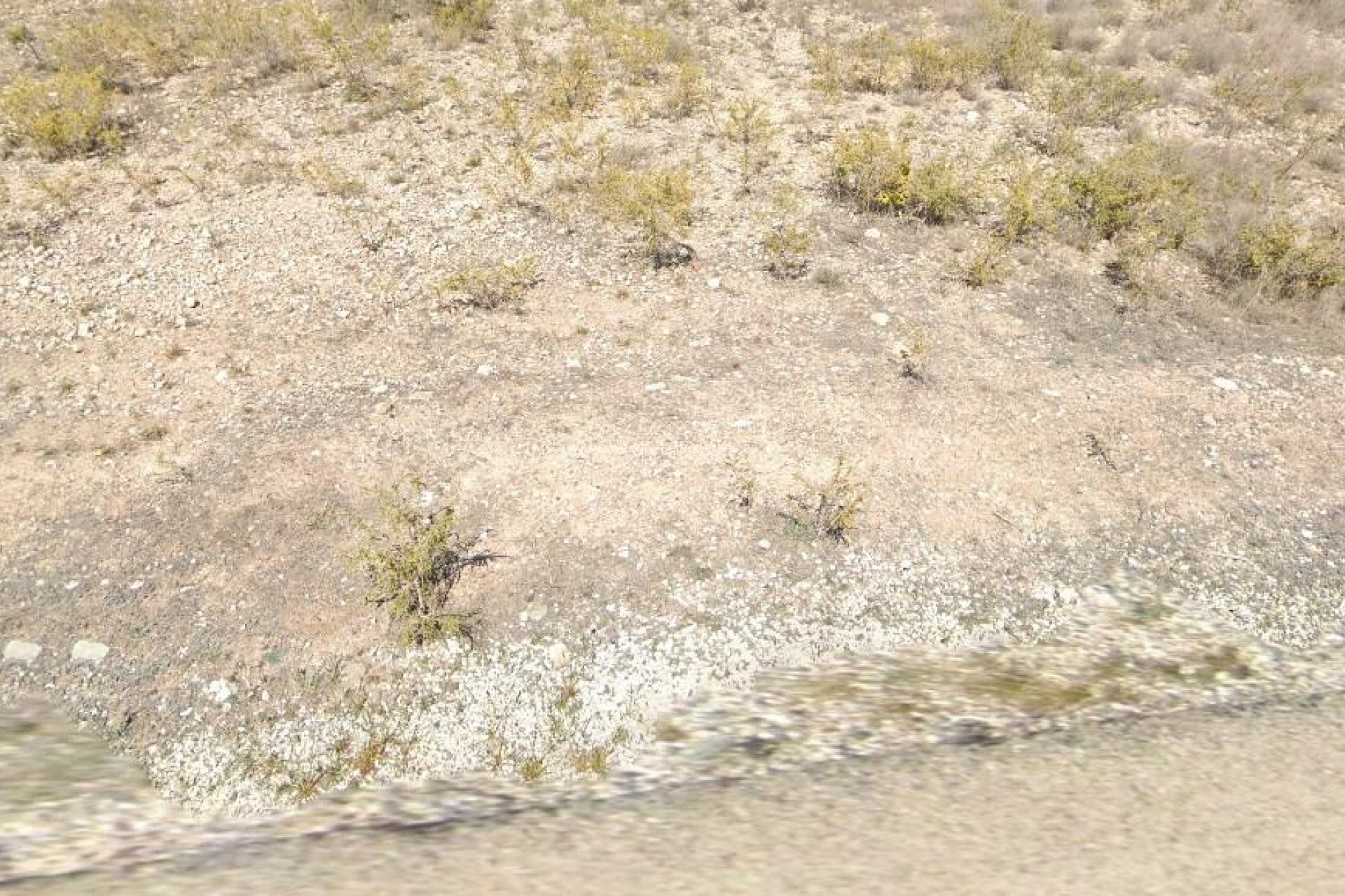 Resale - Plot - Orihuela - Hondon De Los Frailes