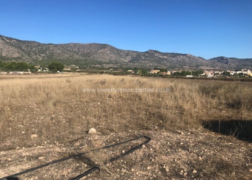 Resale - Plot - Salinas